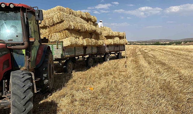 Erzincan'da çiftçilerin saman mesaisi başladı
