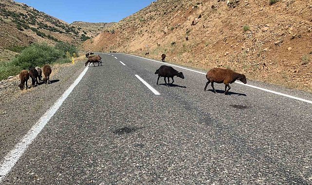 Erzurum Valiliğinden ceza açıklaması