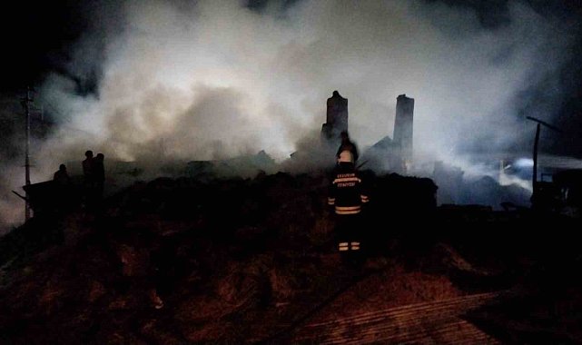 Erzurum'da 8 ev küle döndü