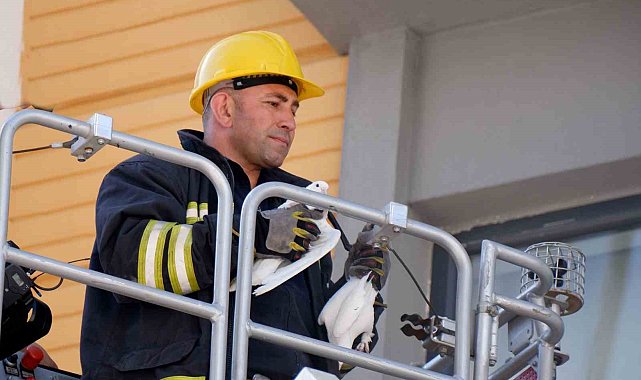 Erzurum'da itfaiyecilerin güvercin operasyonu