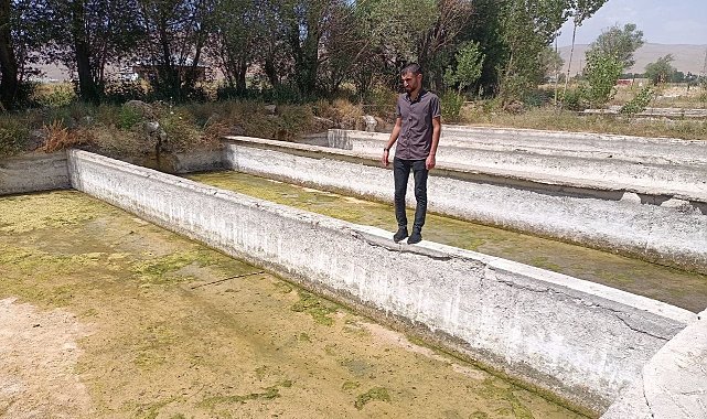 Gürpınar'daki tesiste binlerce balık telef oldu