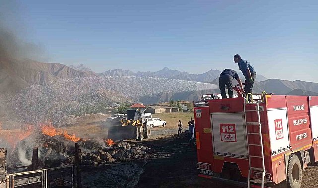 Hakkari'de 600 bağ otu ve kamyonet yandı