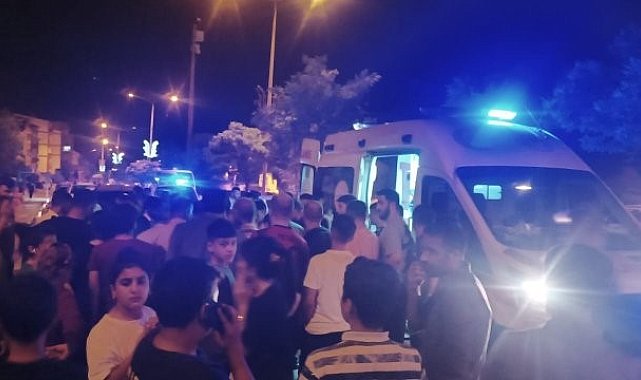 Hakkari'de otomobilin çarptığı kadın öldü