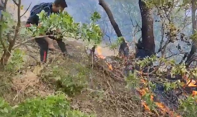 Hakkari'deki orman yangını kısmen kontrol altına alındı