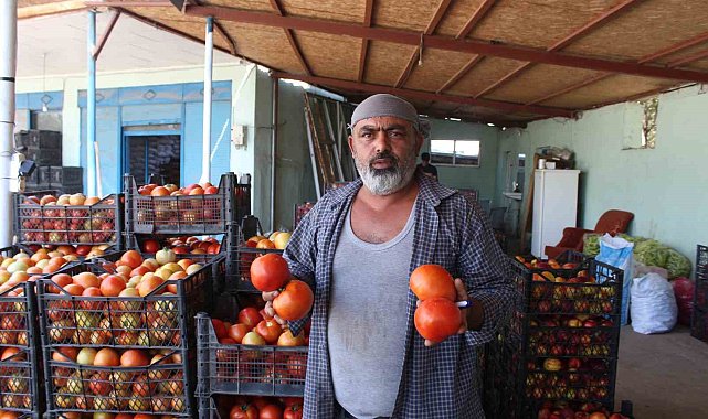 Iğdır'da yetiştirilen sebze ve meyveler il dışına satılıyor