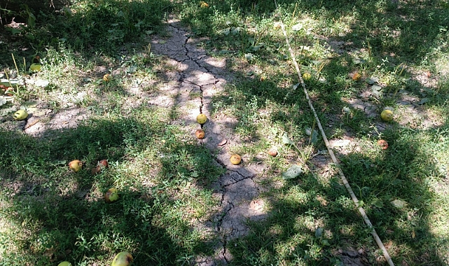 Kağızman'da üreticiler su sıkıntısı çekiyor