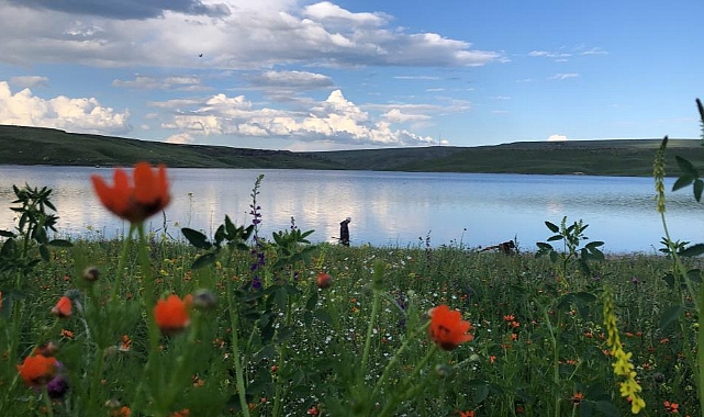 Kars Baraj Gölü'nde kartpostallık görüntüler