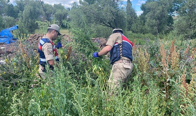 Kars'ta jandarmadan zehir tacirlerine darbe