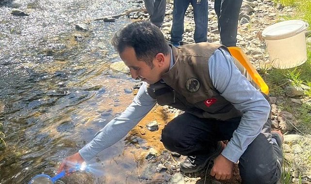Kars'ta derelere alabalık bırakıldı