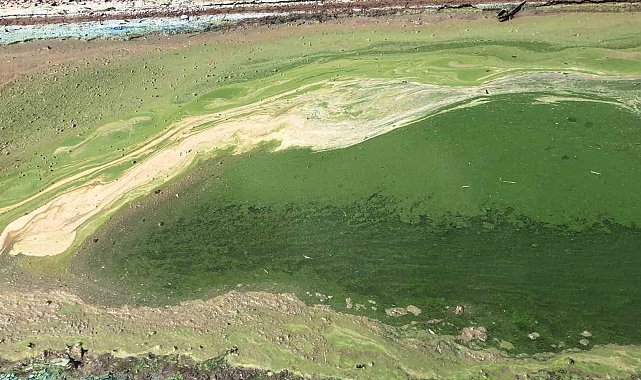Kars'ta rengi yeşile dönen göl etrafa kötü koku yayıyor