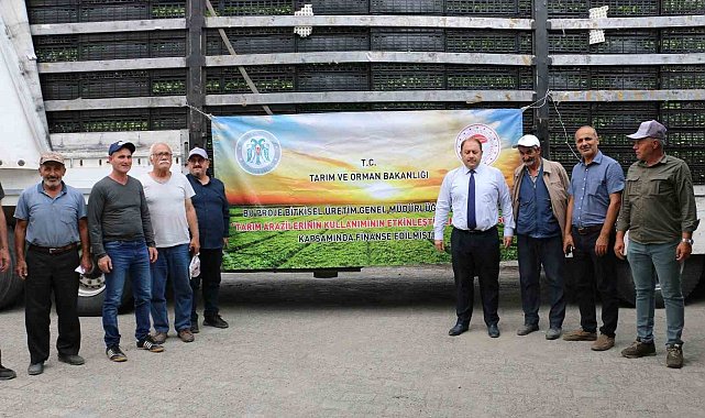 Kışlık sebze fideleri toprakla buluştu