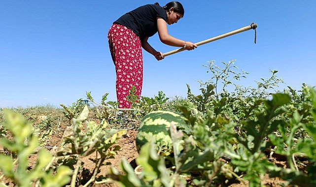 Köyün hanımağası artık tıp öğrencisi oldu