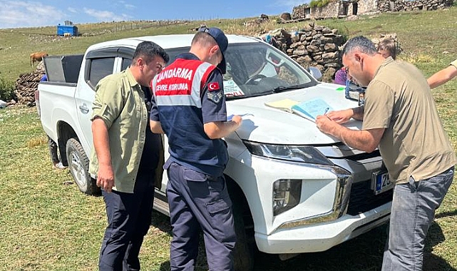 Kars'ta kurt yavrusu satan kişiye 14 bin 386 lira ceza