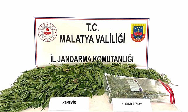 Malatya'da Jandarmadan uyuşturucu operasyonu