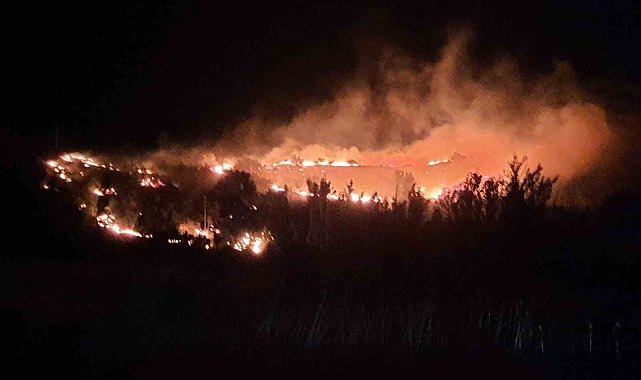 Malatya'da meyve bahçelerinin bulunduğu dağlık alanda yangın