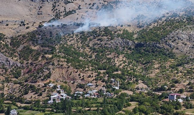 Malatya'da orman yangını, 1 yaralı