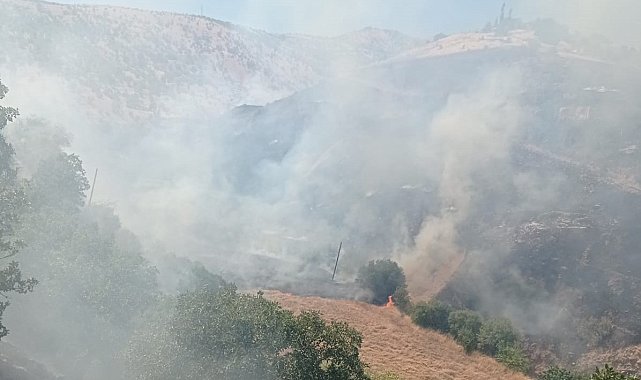 Malatya'da orman yangını