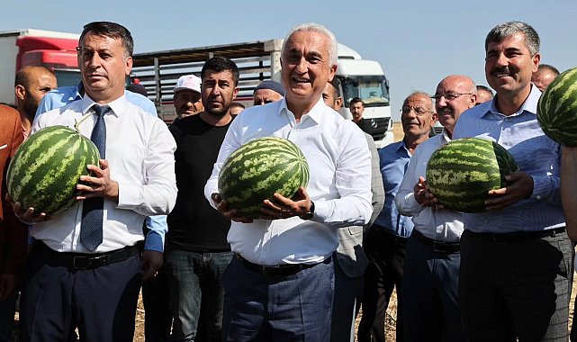 Muş'ta karpuz hasadından 1 milyar 200 milyon lira gelir bekleniyor