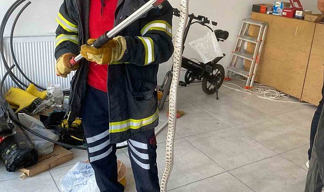 Ofise giren zehirli yılan korkuttu