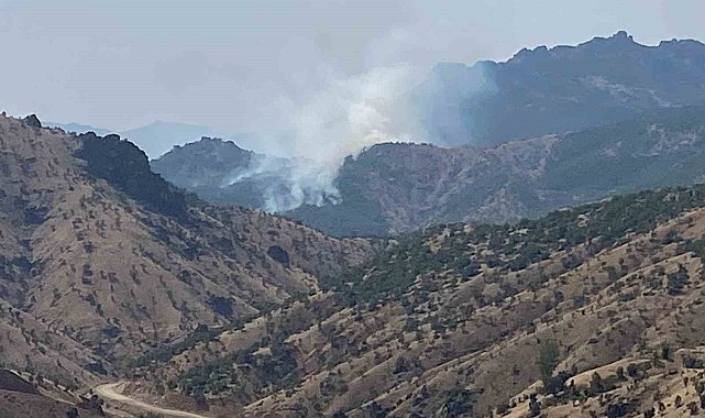 Orman Bölge Müdürü Çetiner: "Sarp ve kayalık bir alan olduğu için müdahalede zorluklar yaşanıyor"
