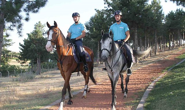 Piknik alanları 'Atlı Jandarma Timlerine' emanet