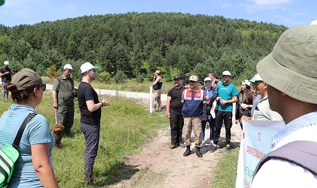 Posof ilçesinde kamp kurulup doğa yürüyüşü yapıldı
