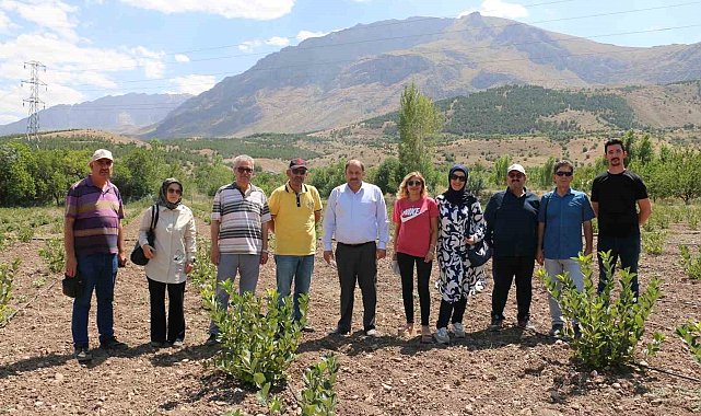 "Uzman Eller" projesinden hibe alan mühendis, aronya yetiştiriyor