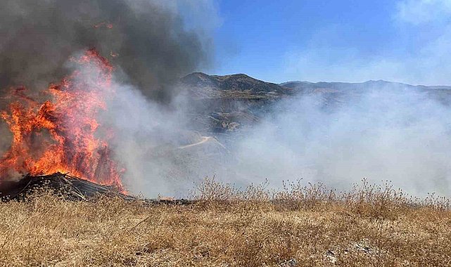 Sigara izmariti otluk alanı tutuşturdu