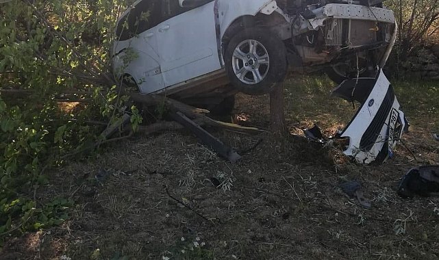 Sürücü kontrolünü kaybetti, ağacı kıran araç asılı kaldı