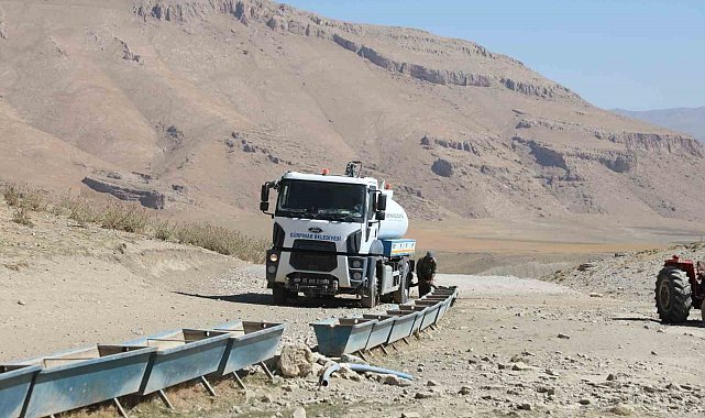 Susuz kalan koyun sürülerine tankerle su sevkiyatı