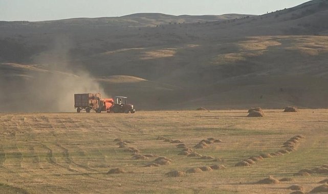 Tarım-ÜFE yıllık yüzde 62,48, aylık yüzde 8,03 arttı