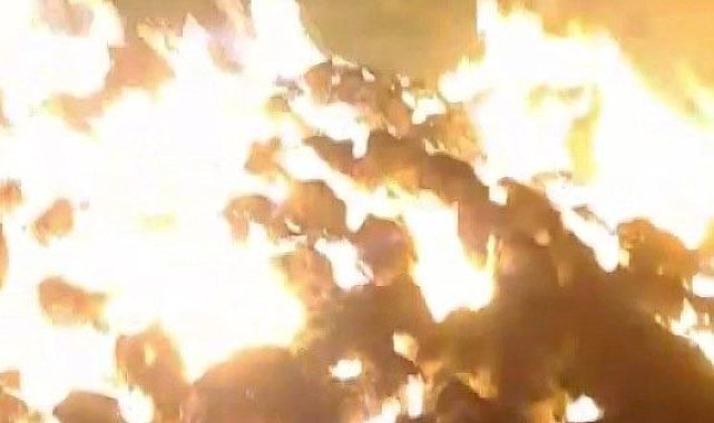 Tunceli'de 120 ton saman kül oldu