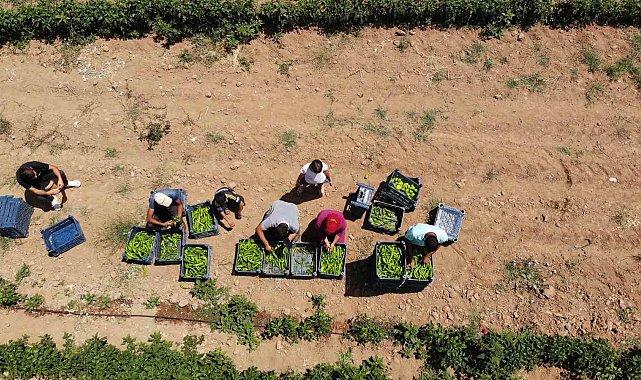 Uzmanından sıcak havada çalışan tarım işçilerine uyarı