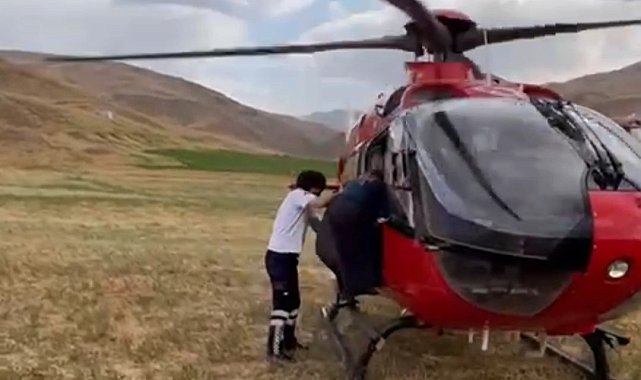 Van'da arı sokmasıyla rahatsızlanan kadın ambulans helikopterle hastaneye kaldırıldı