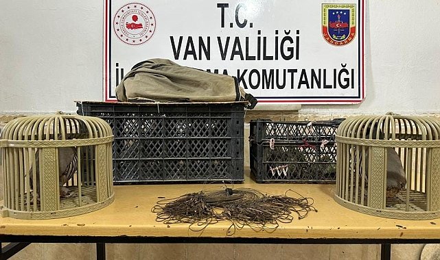 Van'da kafes avcılığı