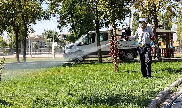 Van'da kent zararlılarına karşı ilaçlama çalışması