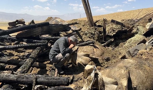 Yangında 7 ineğini kaybeden vatandaş hüngür hüngür ağladı