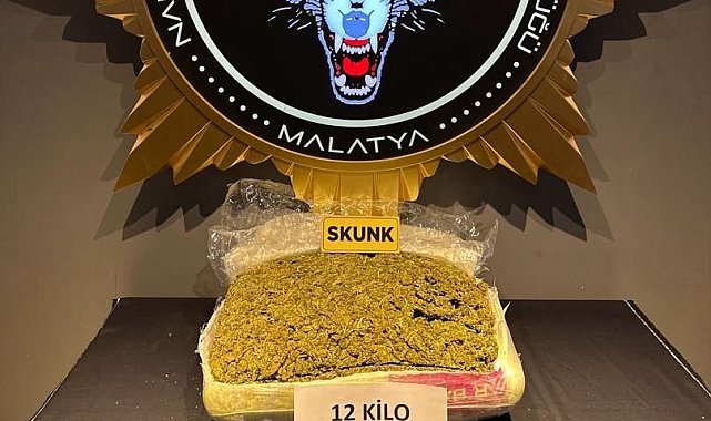 Yolcu otobüsünde 12,5 kilo skunk ele geçirildi