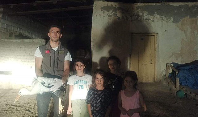 Yuvadan düşen leylek tedavi altına alındı