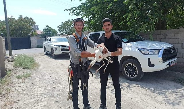 Yuvasında mahsur kalan leylek kurtarıldı