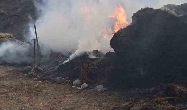 Ağrı'da bin 500 balya saman yandı