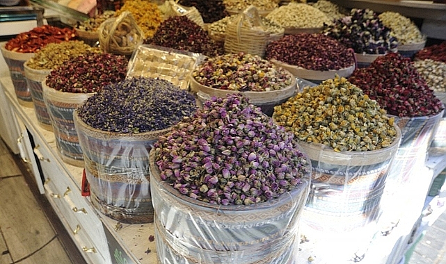 Aktarlarda kış hazırlığı başladı