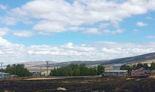 Ardahan'da çıkan anız yangını söndürüldü