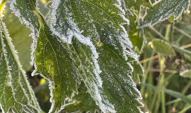 Ardahan'da sıcaklık sıfırın altına düştü
