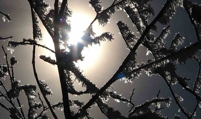 Ardahan'da soğuk hava: Damal ilçesi eksi 2,7 dereceyi gördü