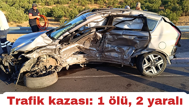 Bingöl'de trafik kazası: 1 ölü, 2 yaralı