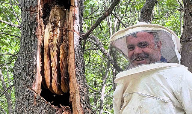 Bingöl'de 'Bal avcıları' arı takibi yaparak doğal bala ulaşıyor