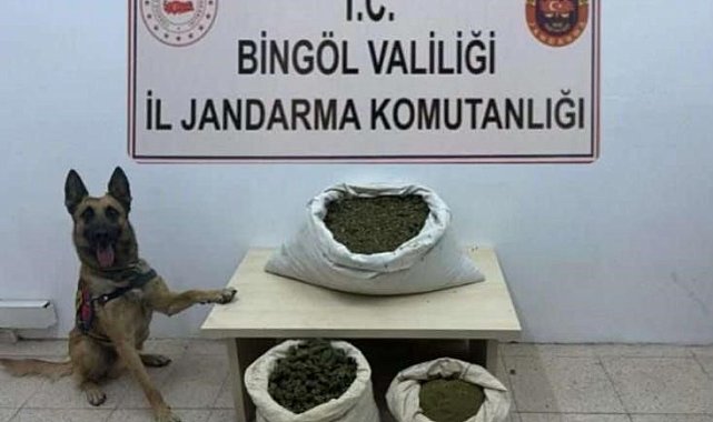 Bingöl'de 6 arazide uyuşturucu madde ele geçirildi