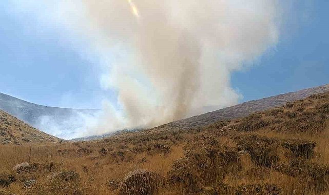 Bingöl'de iki bölgede çıkan yangın söndürüldü