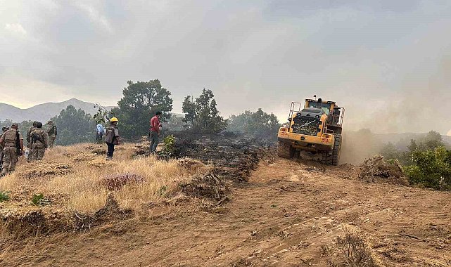 Bingöl'de ormanlık alanda çıkan yangın söndürüldü